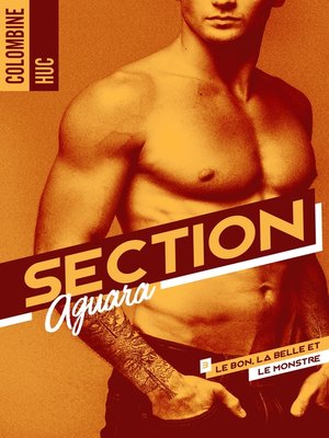 cover image of Section Aguara & Co--Tome 3